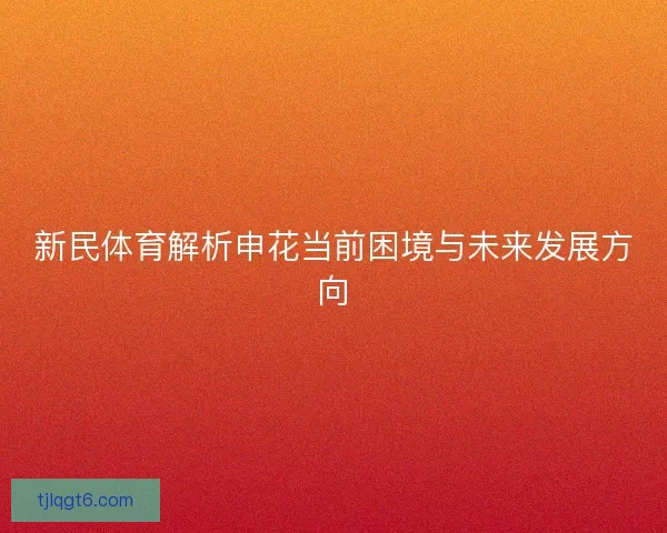 新民体育解析申花当前困境与未来发展方向