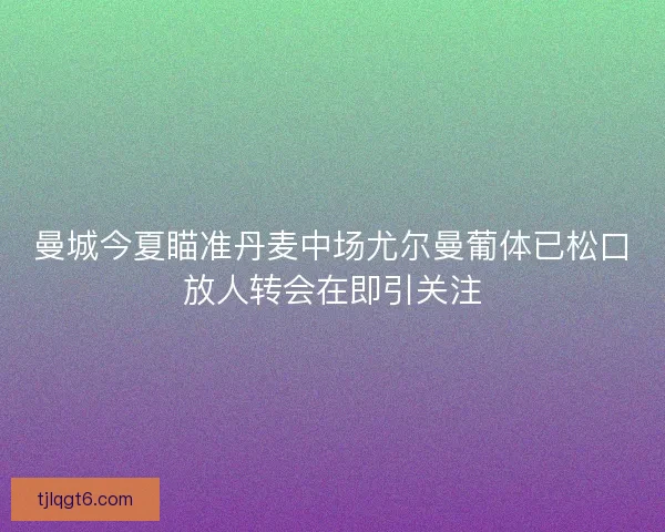 曼城今夏瞄准丹麦中场尤尔曼葡体已松口放人转会在即引关注