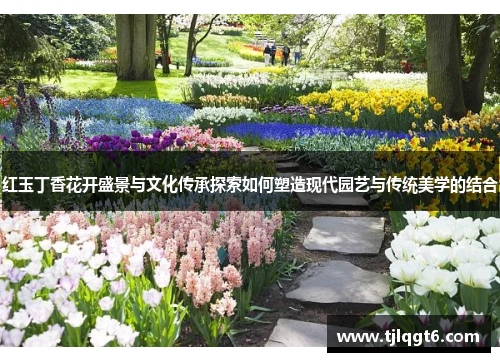 红玉丁香花开盛景与文化传承探索如何塑造现代园艺与传统美学的结合